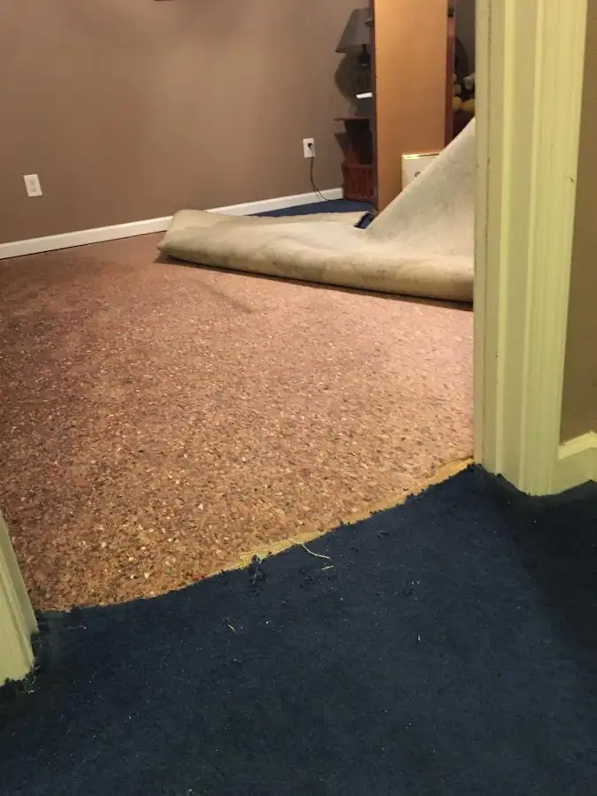 Carpet pad removal revealing water damage during Water Mitigation Services in Falmouth